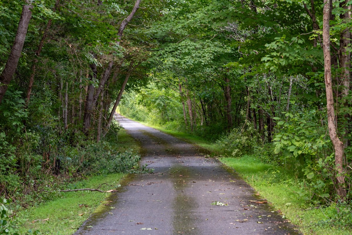 Harlem Valley Rail Trail