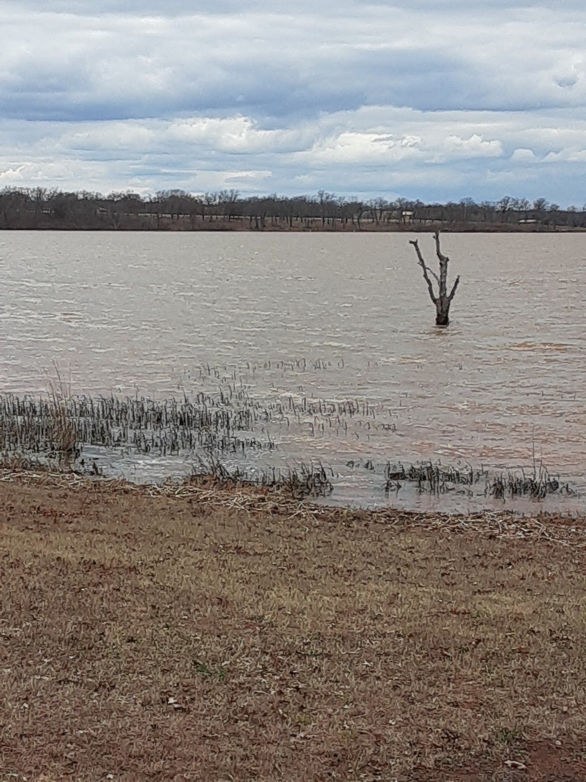 Bell Cow Lake