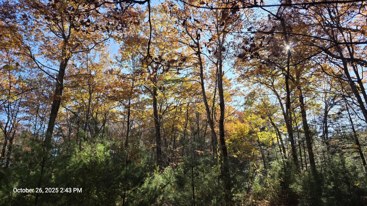 Leadmine Wildlife Management Area