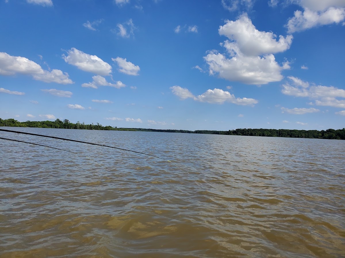 Peckerwood Lake