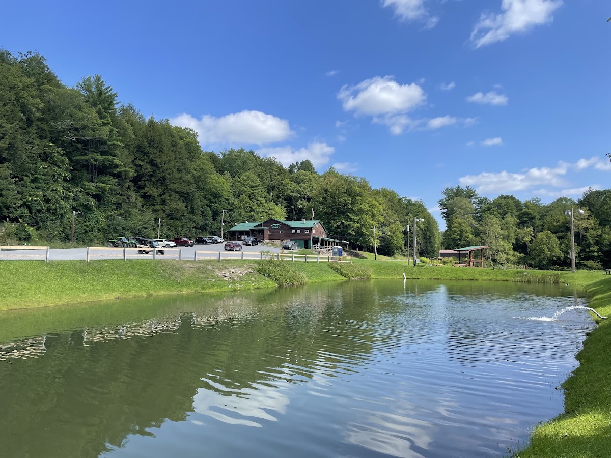 Mosquito Creek