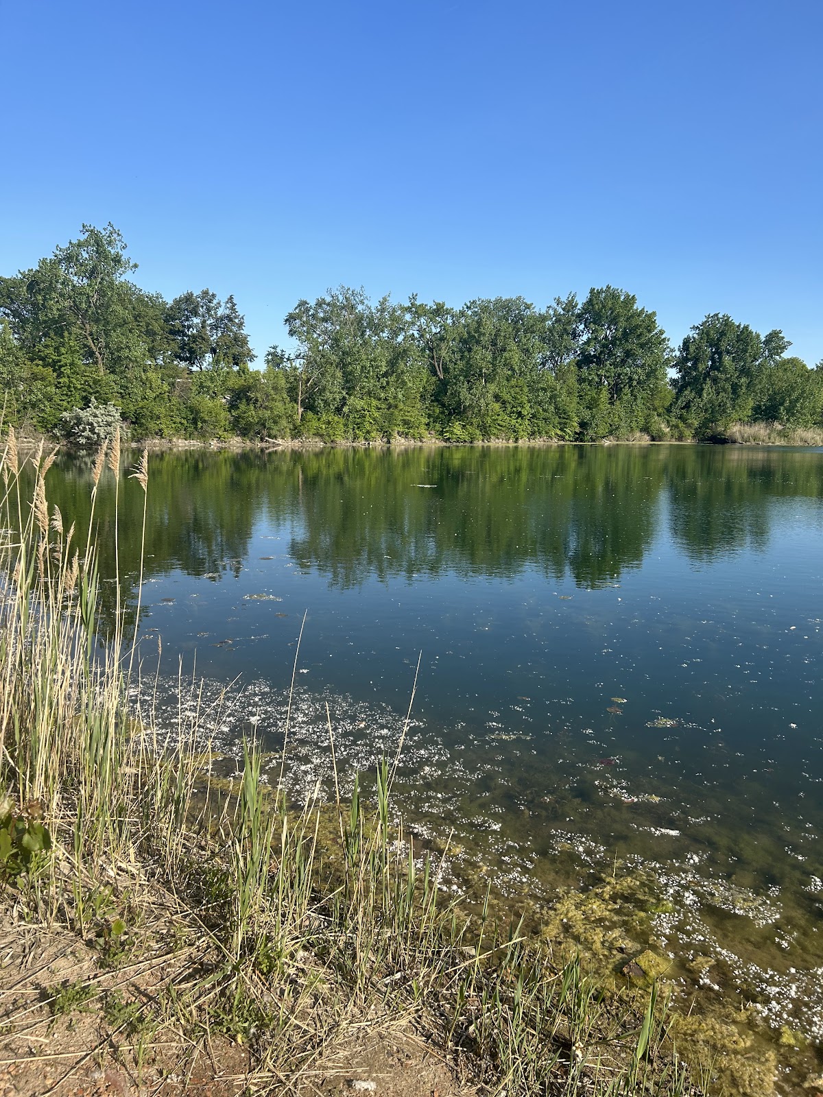 Clayhole Lake
