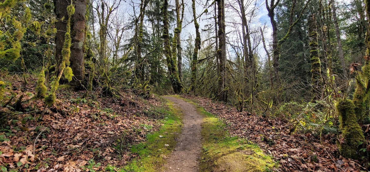 McGarvey West Trail