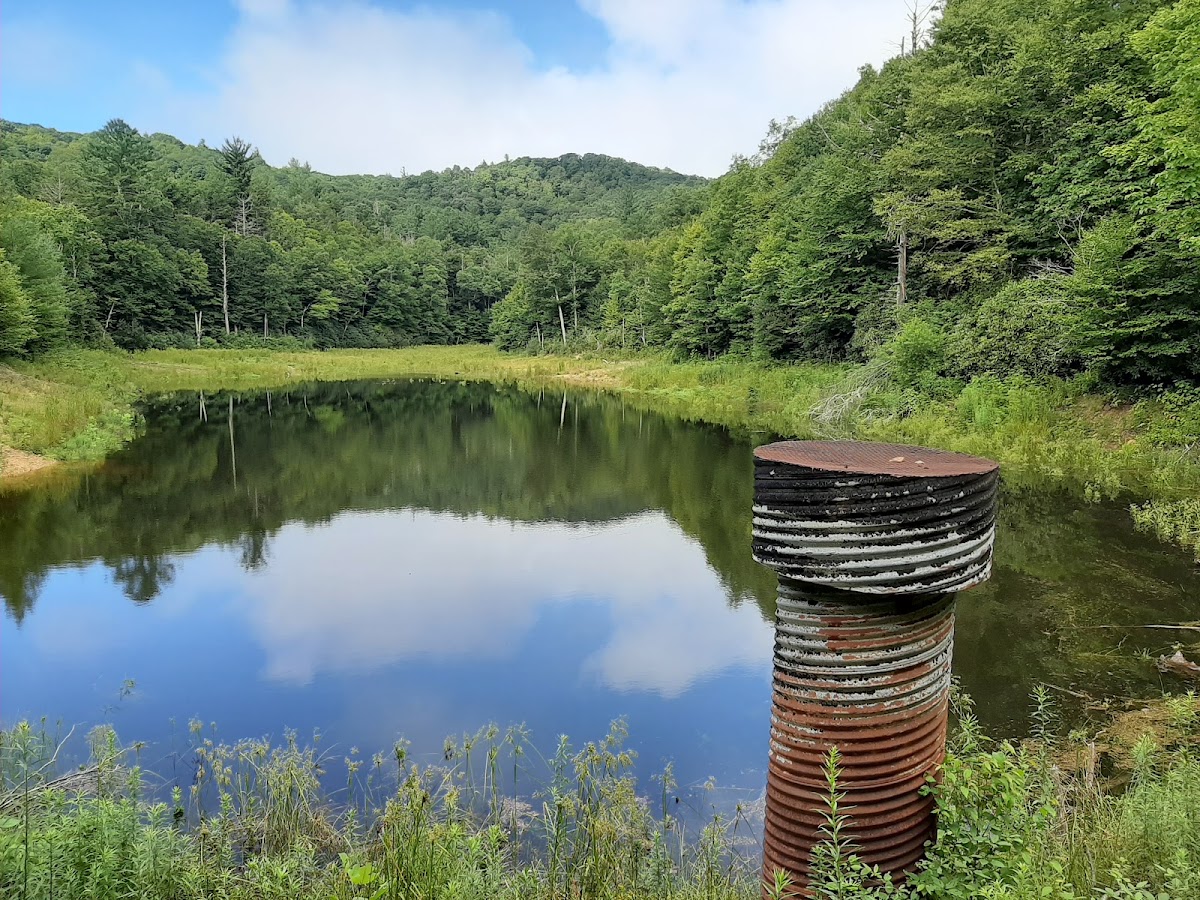 Birchfield Camp Trail
