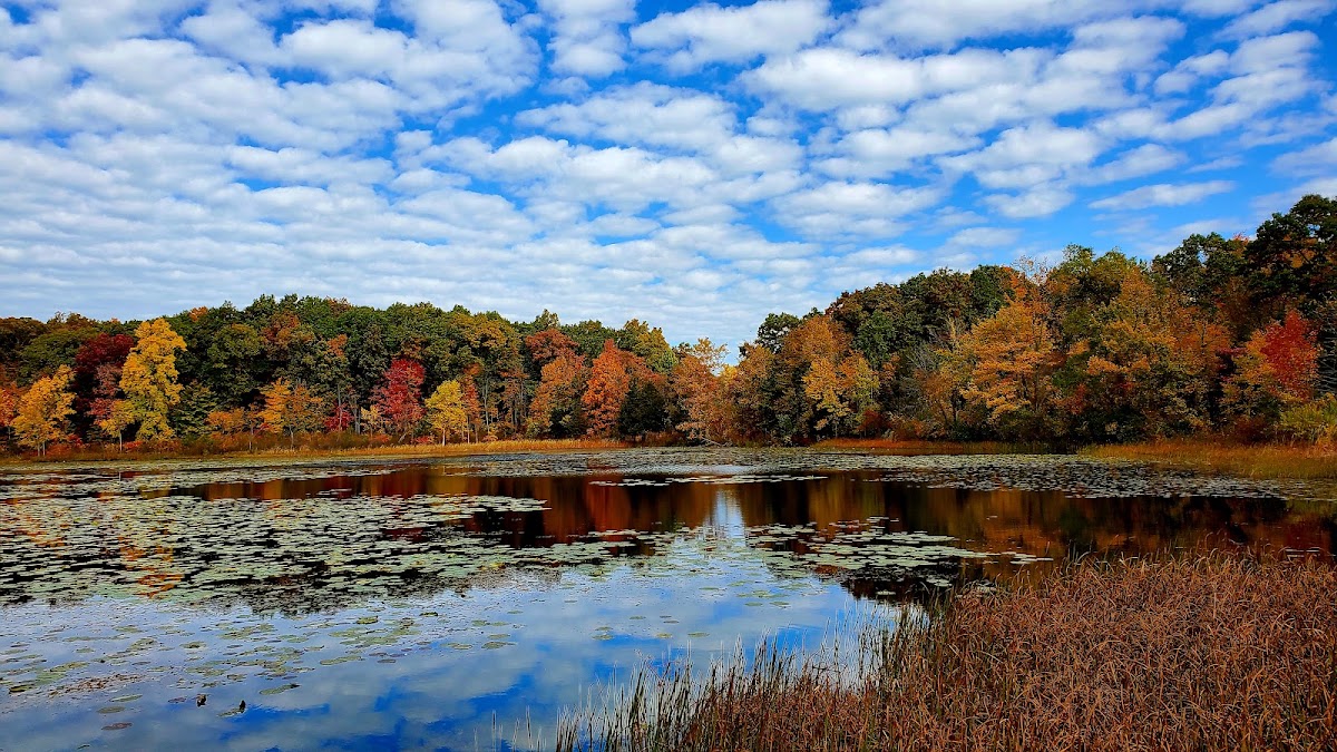 Highland State Recreation Area