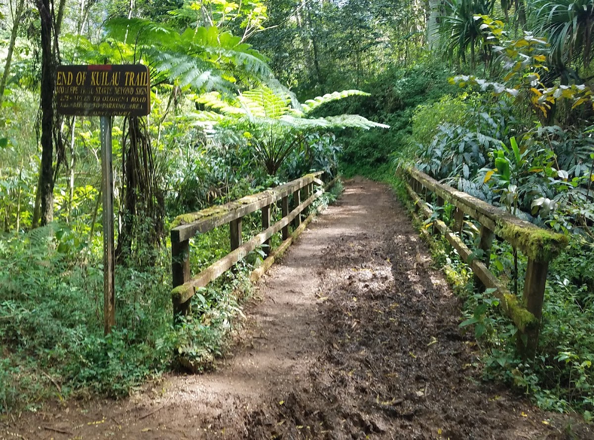Weeping Wall / Blue Hole Hike