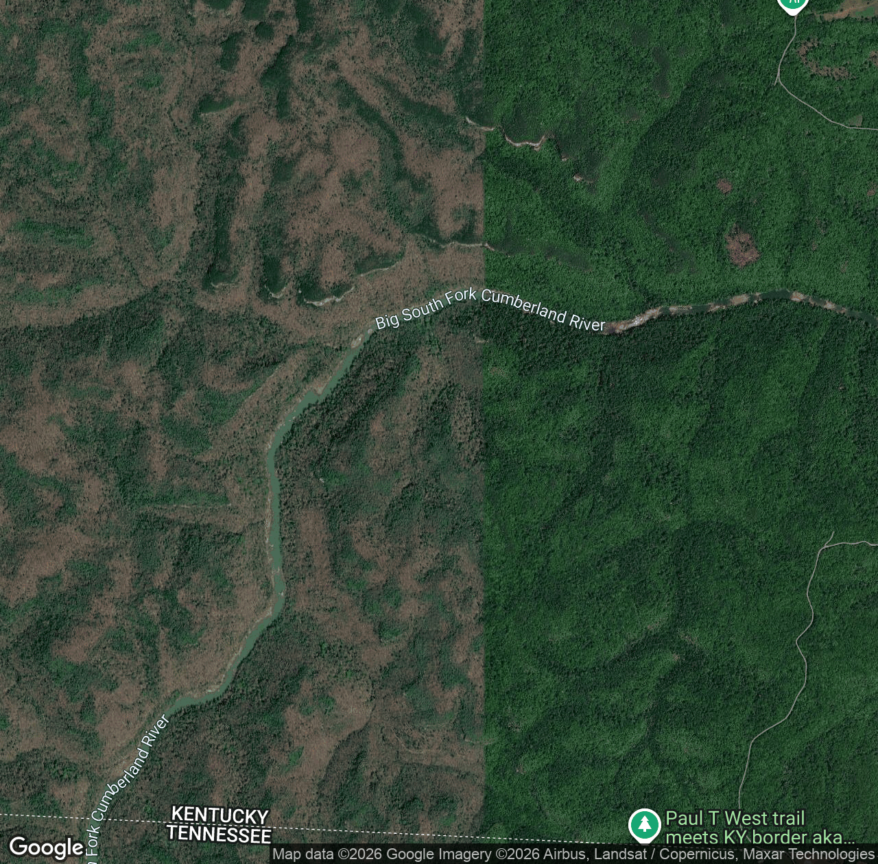 Cottonpatch Branch