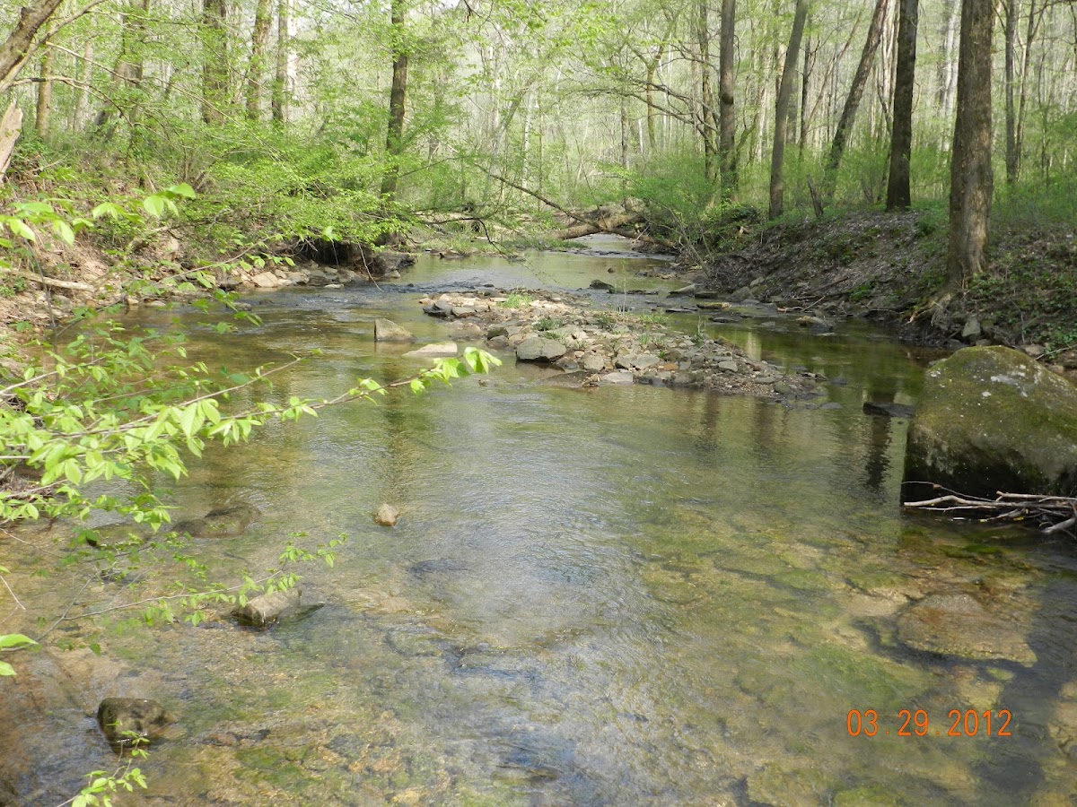 Troublesome Creek