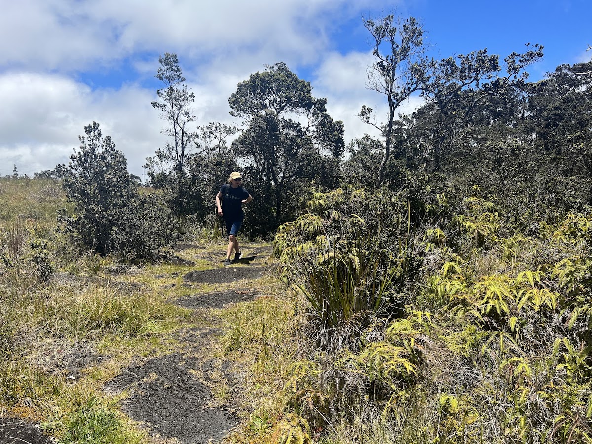 Kaumana Trail