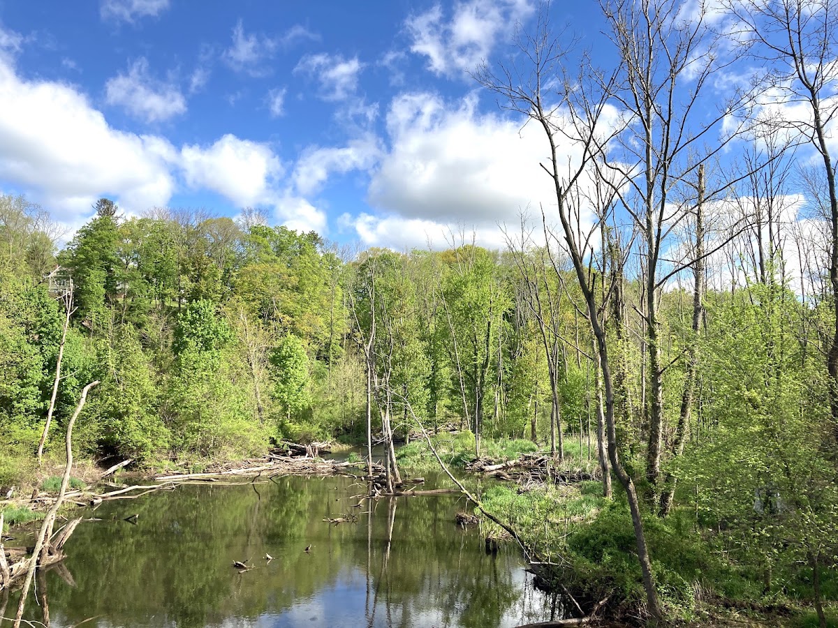 Coginchaug River