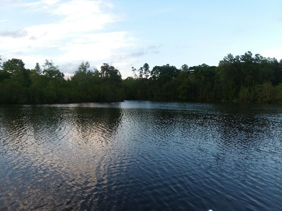 Rogers Lake