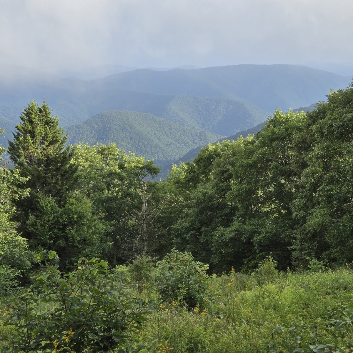Mountains-to-Sea Trail