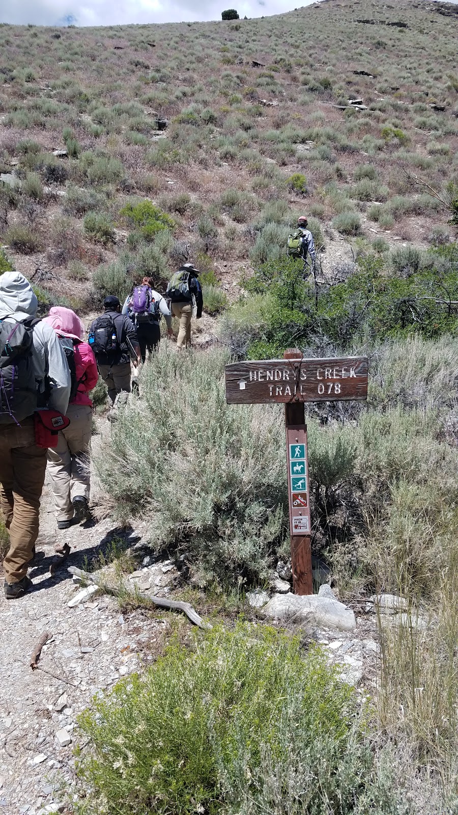 Hendrys Creek Trail