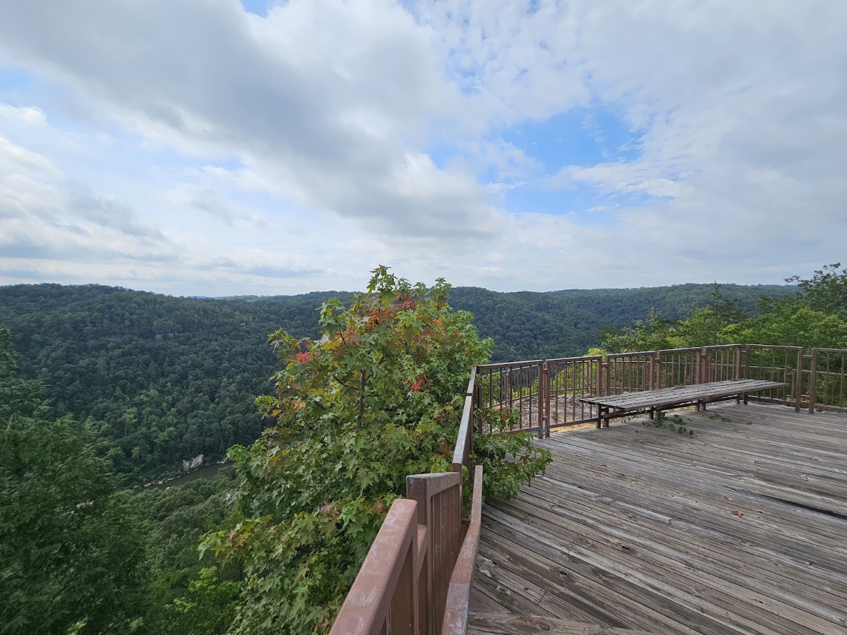 Blue Heron Overlook Trail