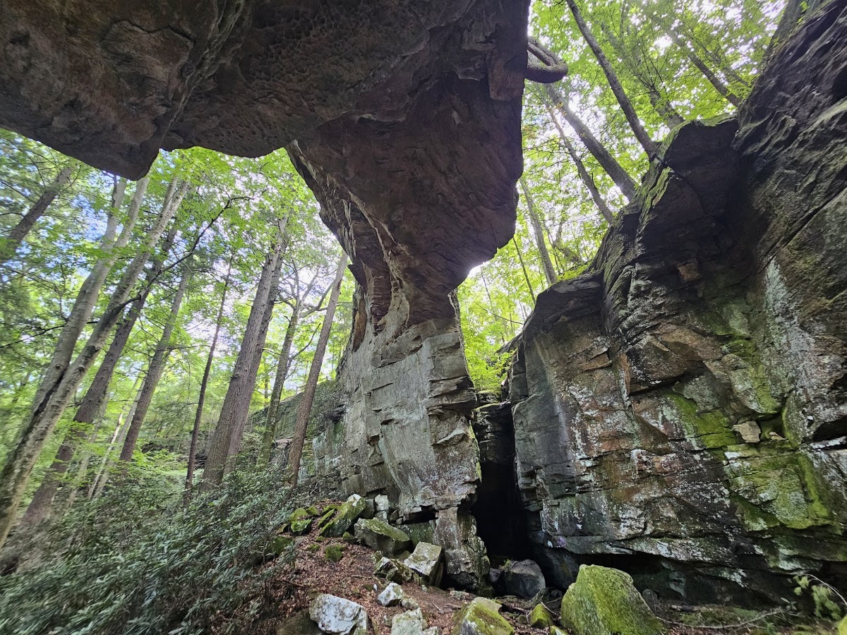 Split Bow Arch Trail