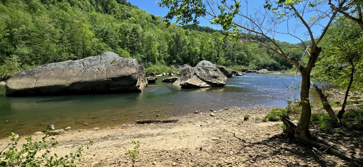 Blue Heron Loop