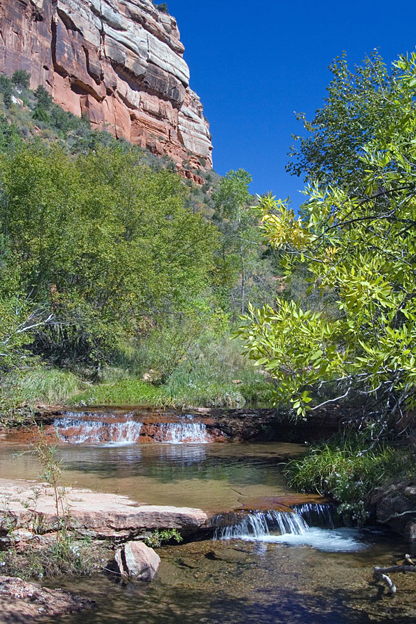 Left Fork North Creek