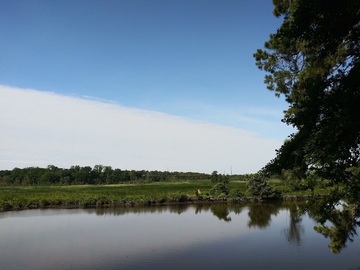 Smiths Landing