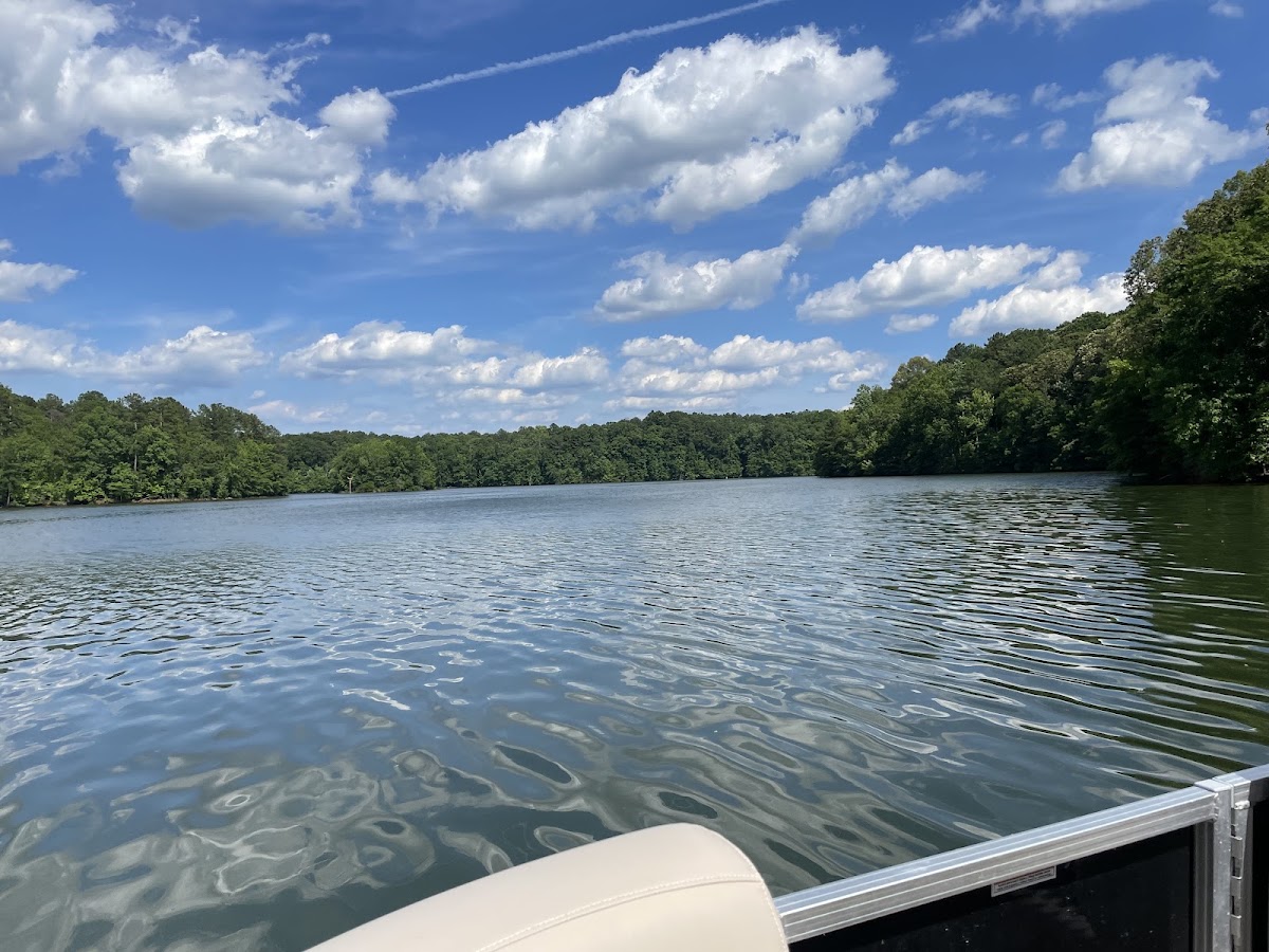 Yellow Jacket Creek Recreation Area