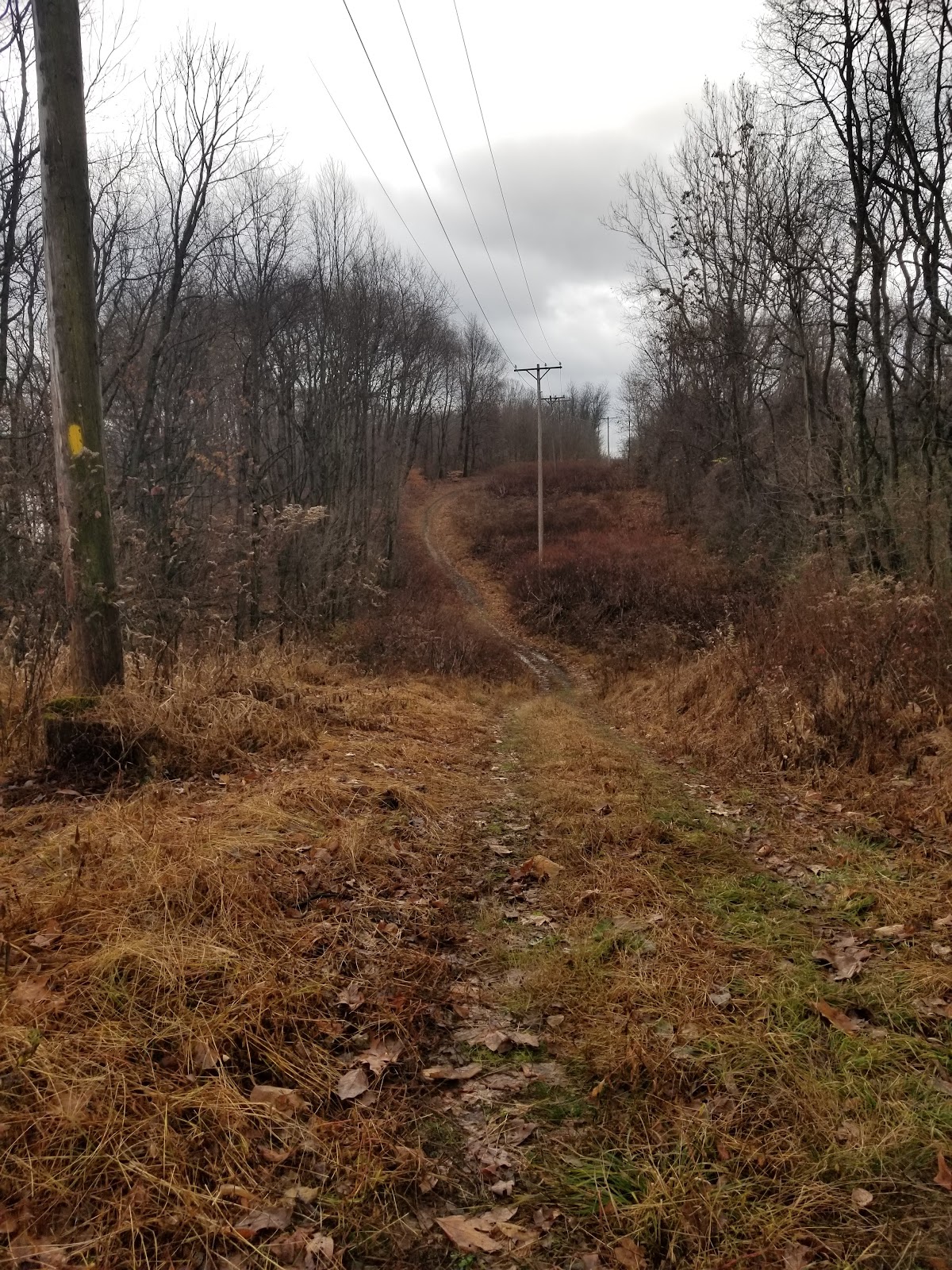 Rachel Carson Trail
