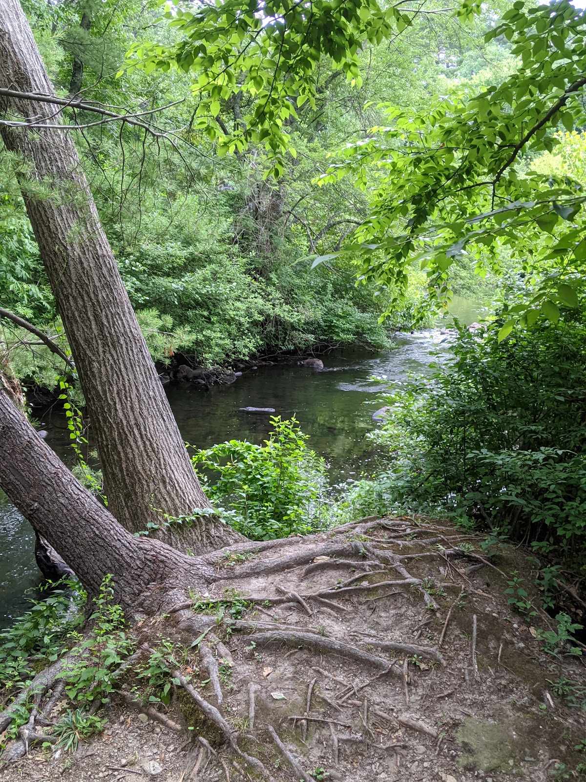 Stillwater Scenic Trail