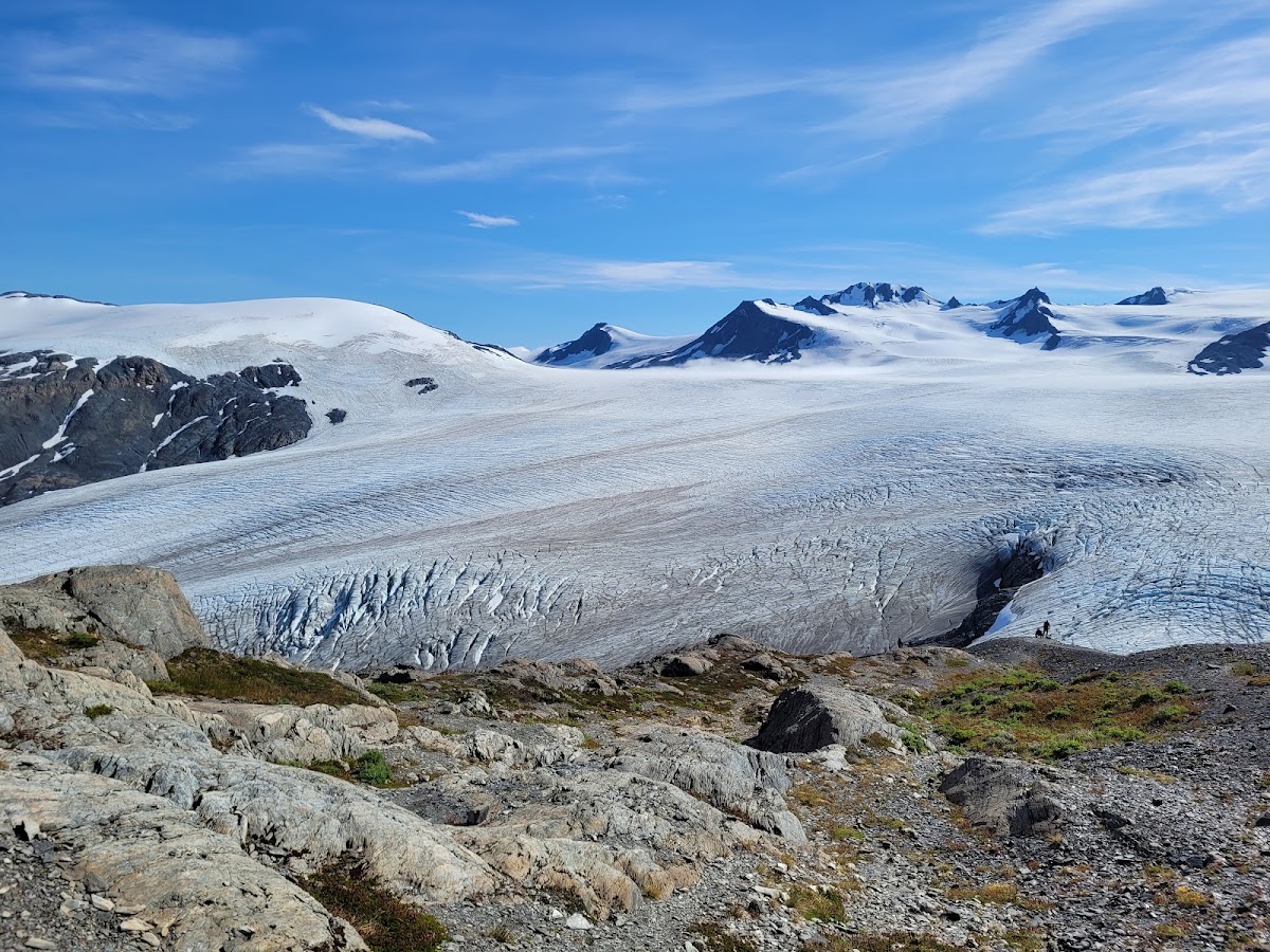 Harding Icefield