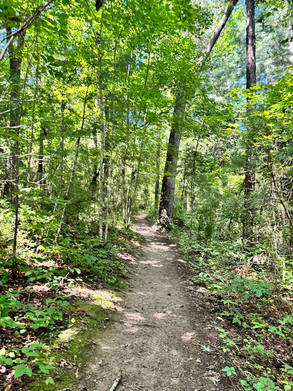 Blue Ridge Parkway Visitor Center TRACK Trail