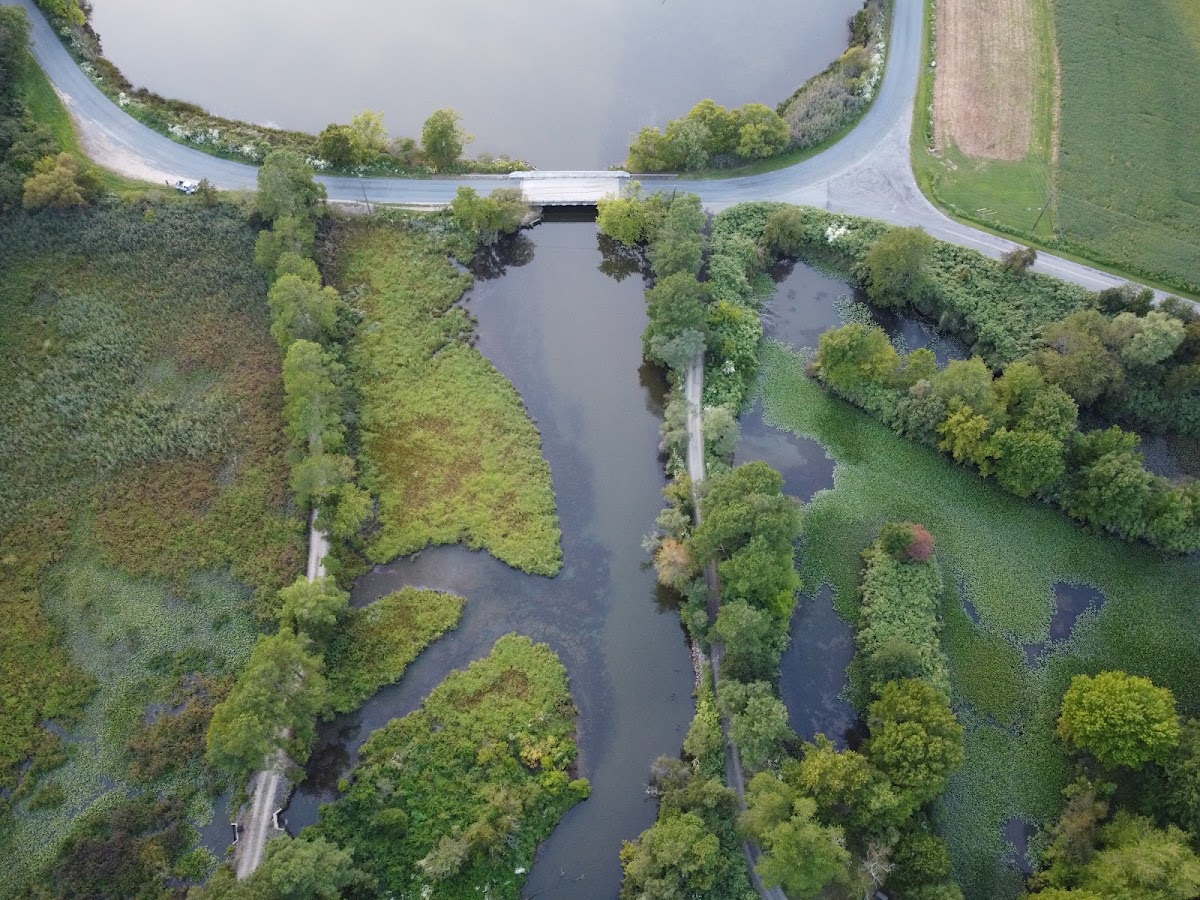 Still Pond Creek