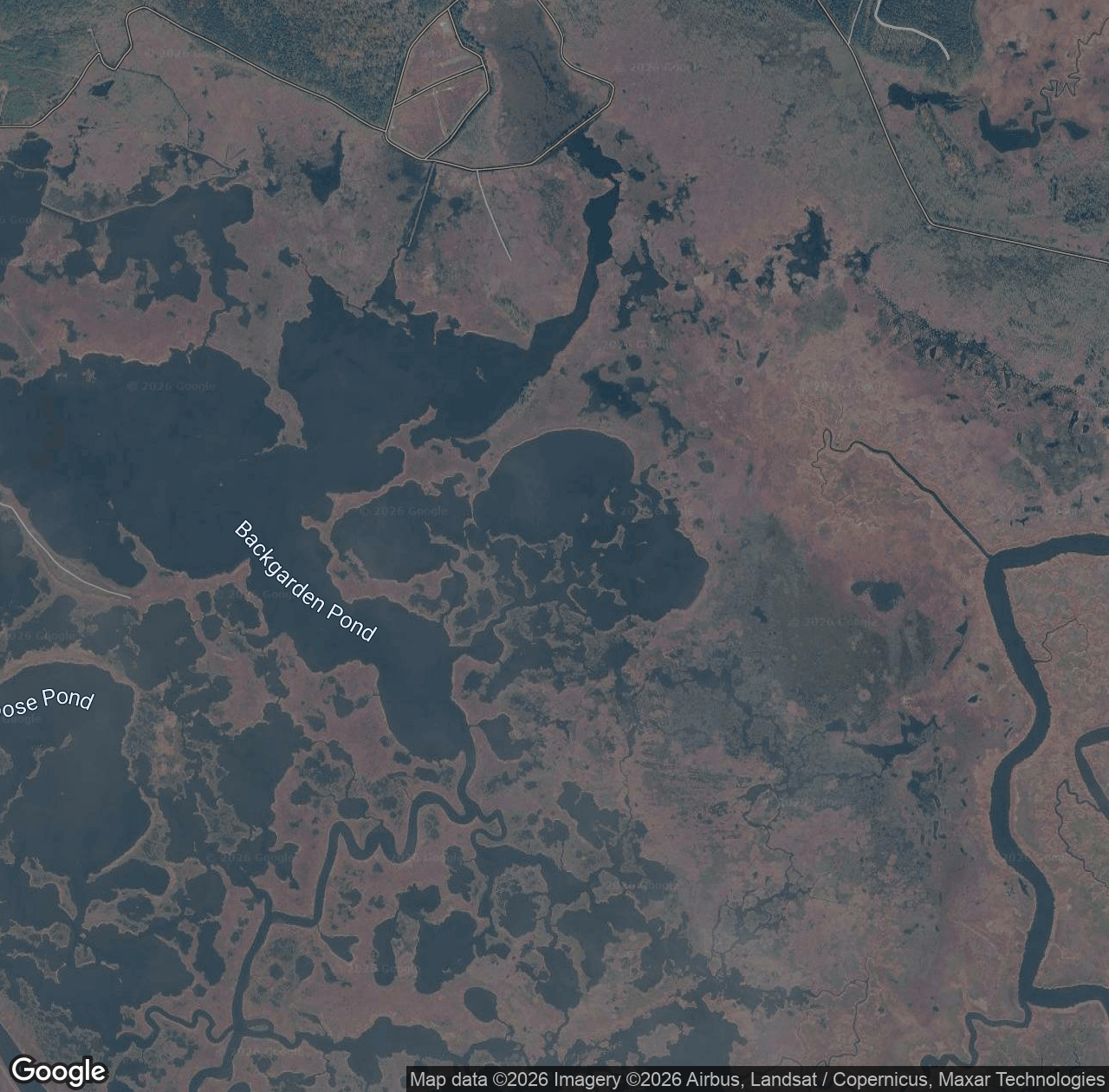 Hog Rooting Pond