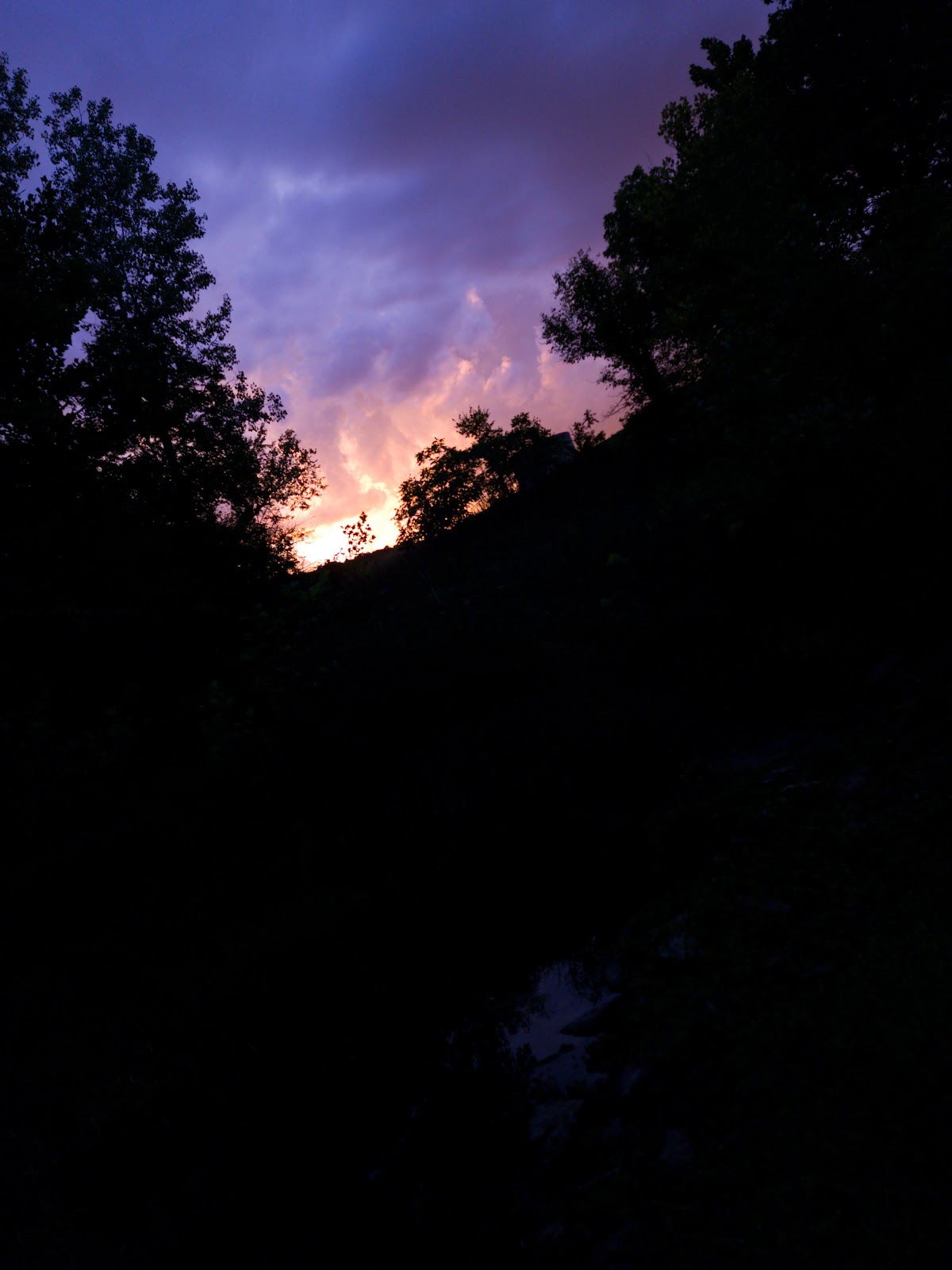 Butler Creek