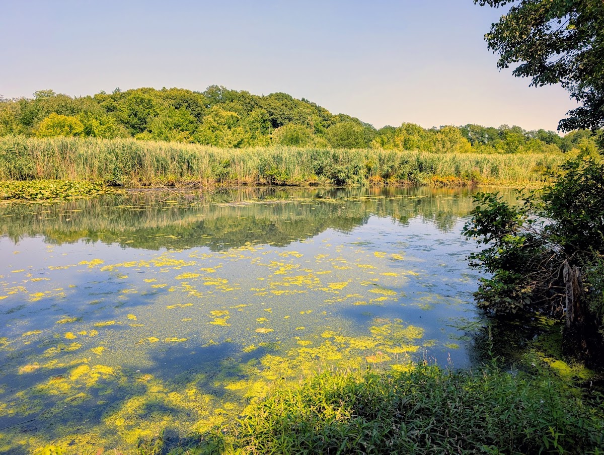 Beaver Pond Park