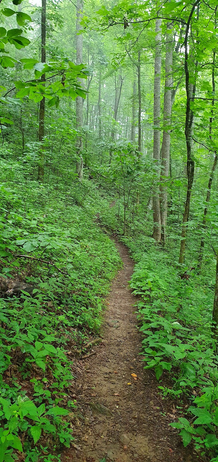 Appalachian Trail