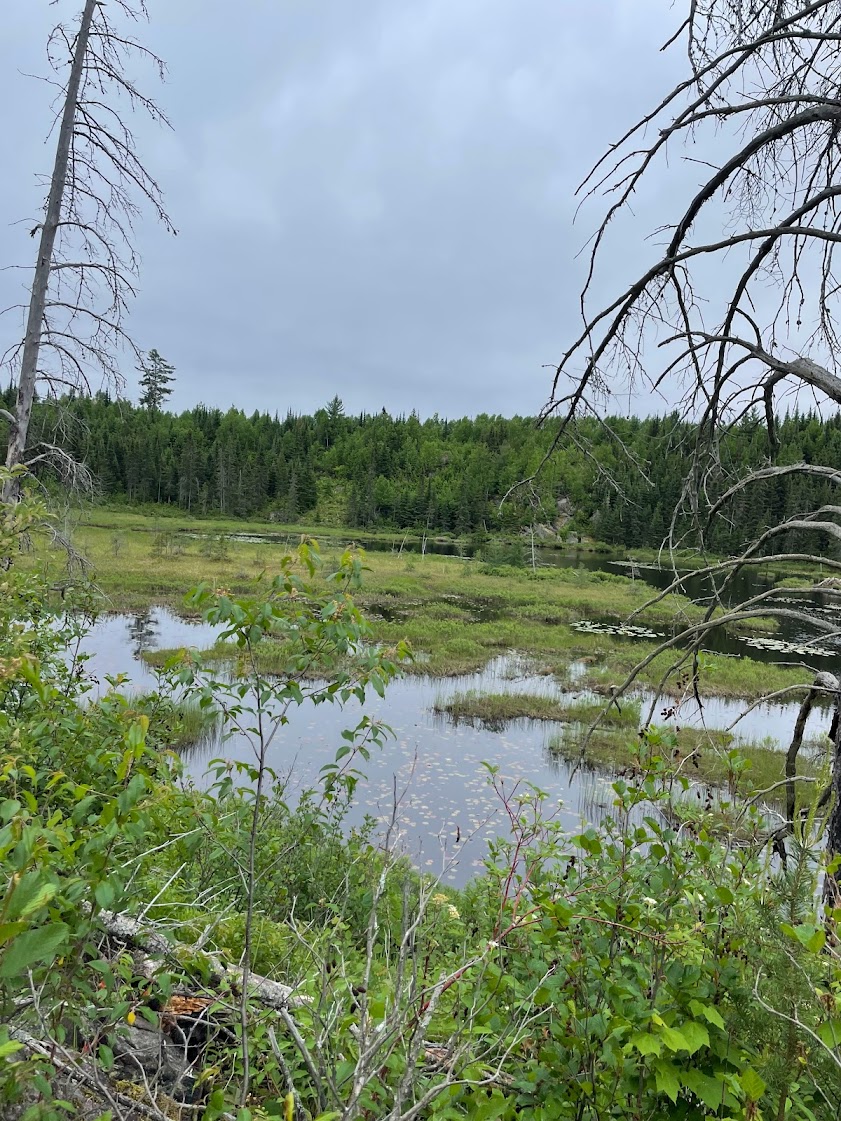 Kekekabic Trail