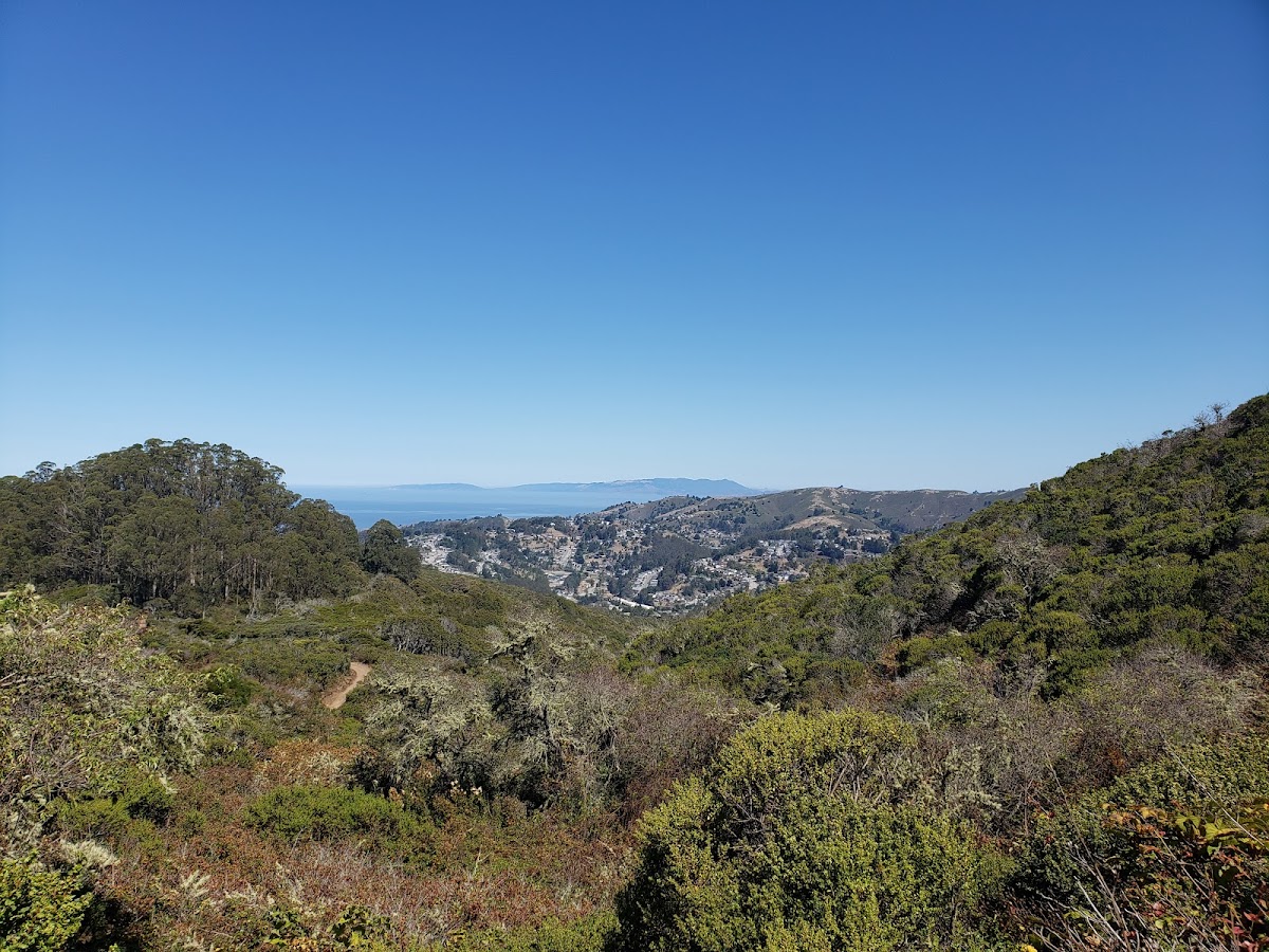 Hazelnut Trail