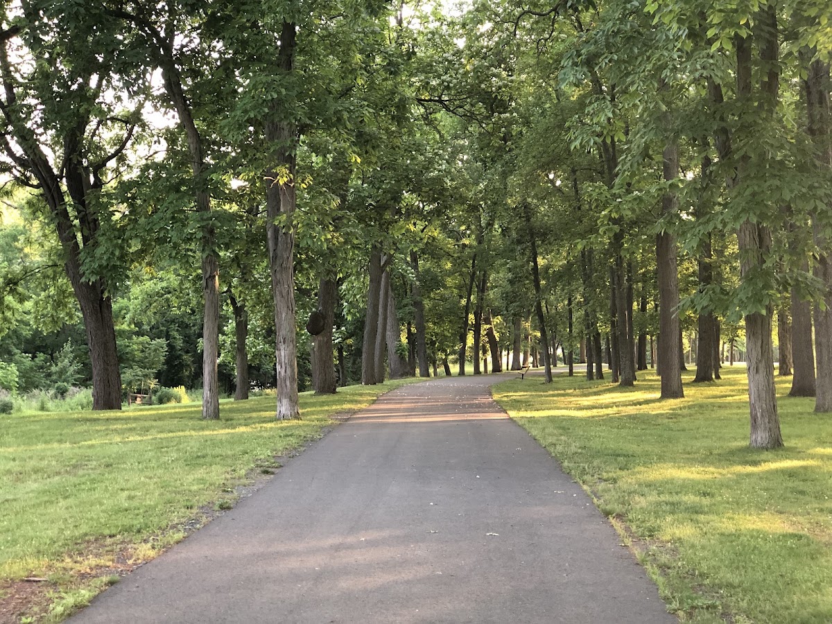 Skillman Park