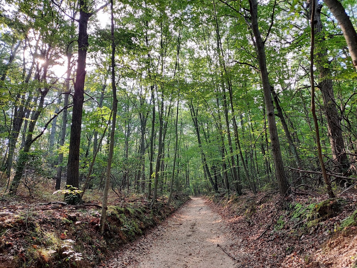 West Hills County Park