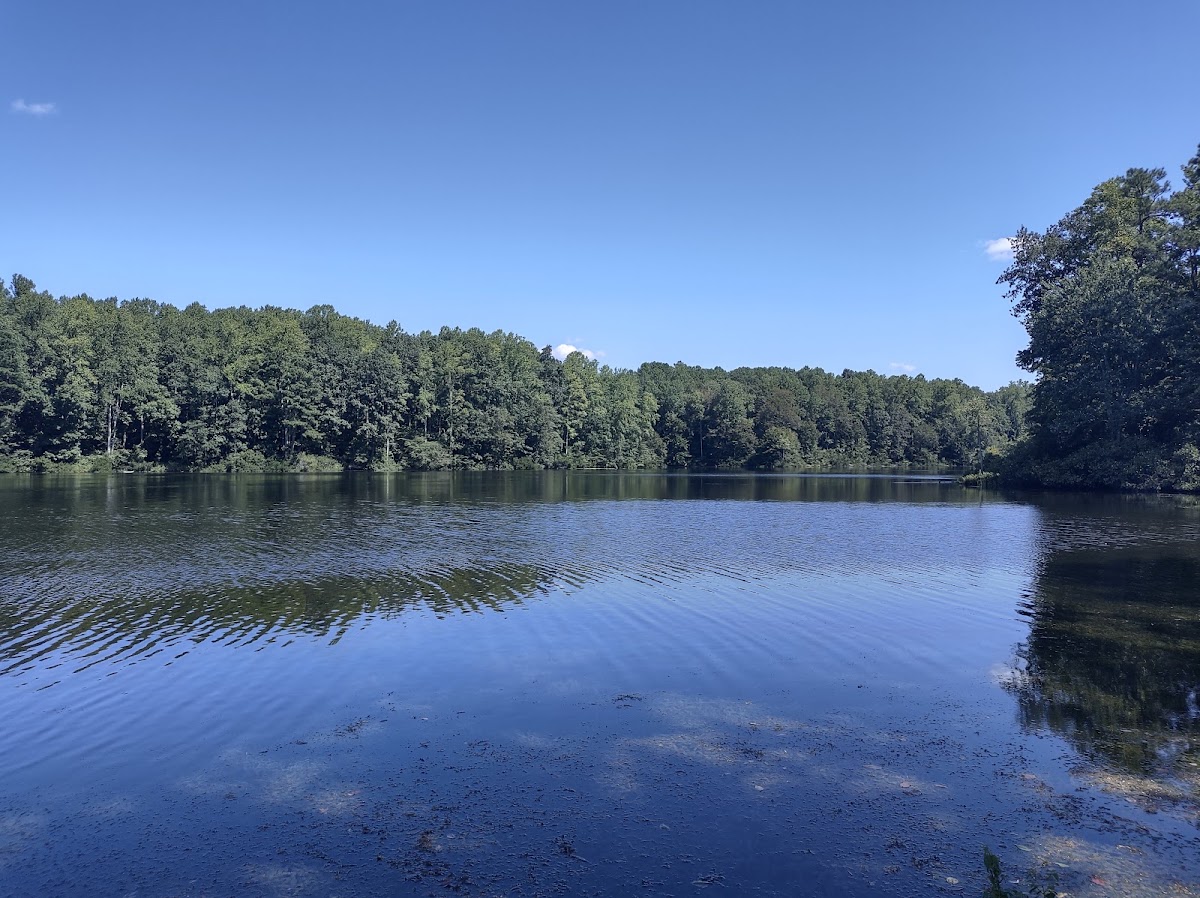 Beaverdam Swamp Reservoir