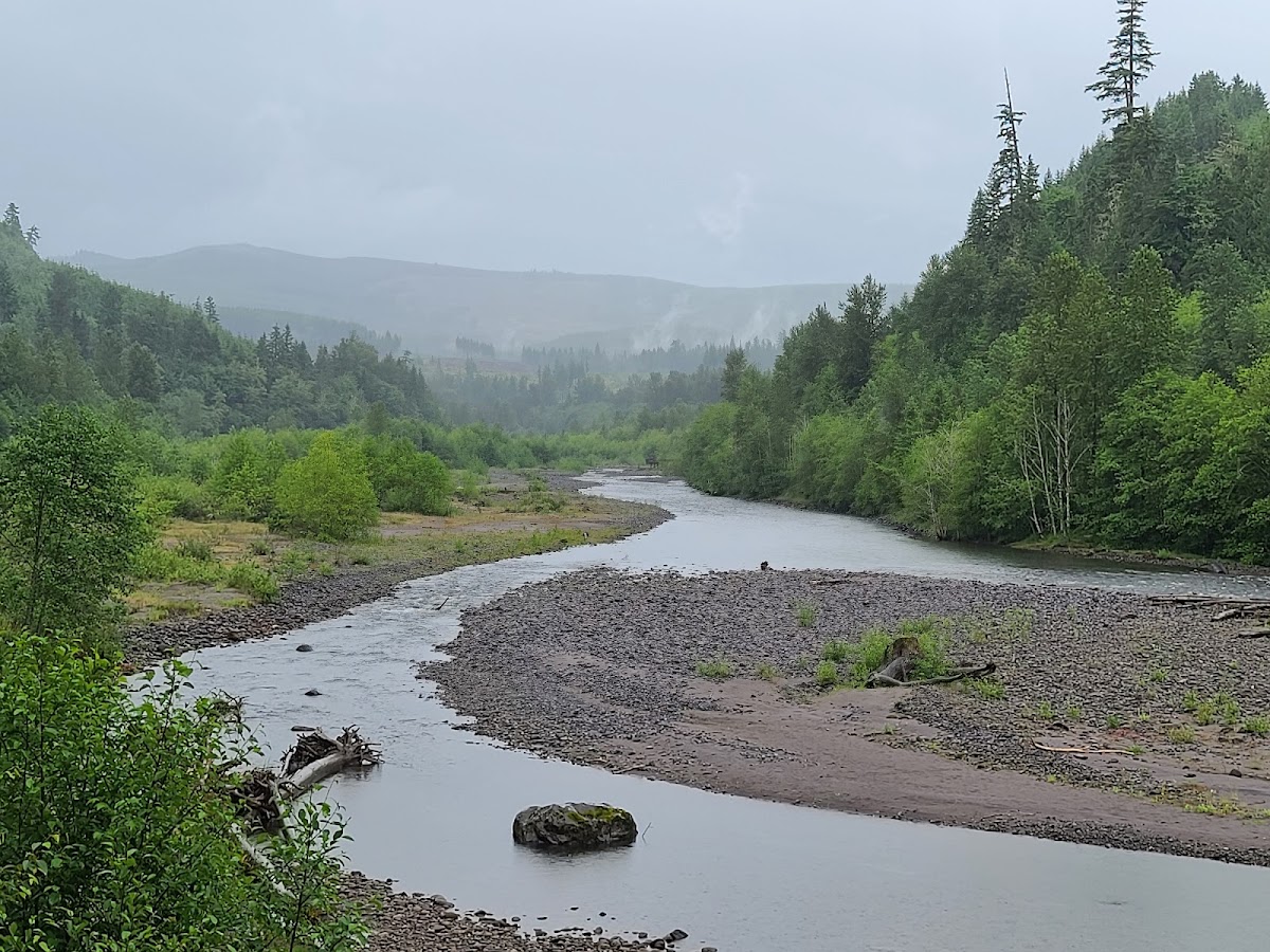 Toutle River