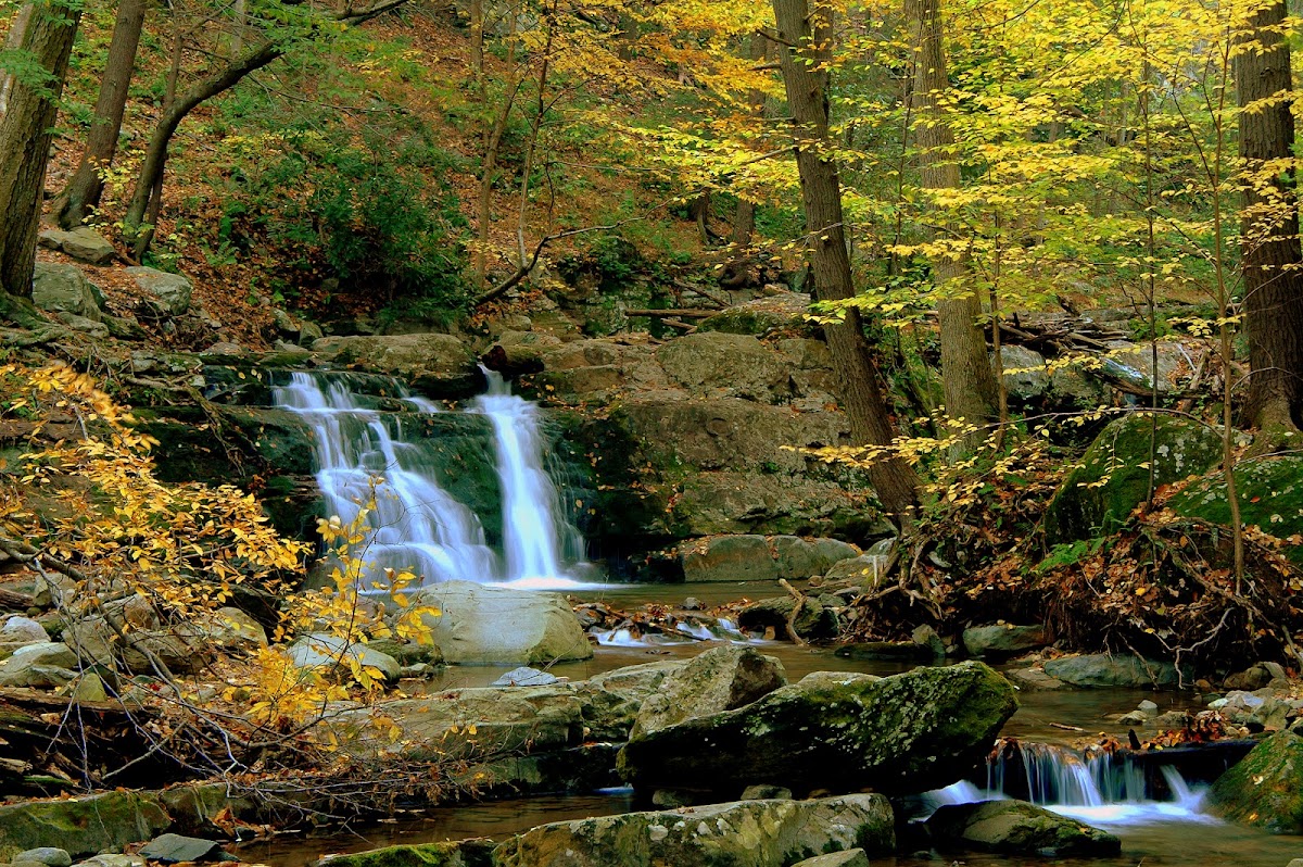 Dunnfield Creek