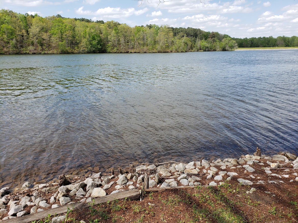 Pine Lake