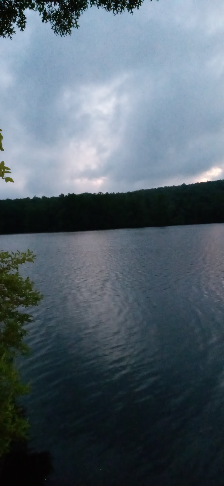 Halls Pond