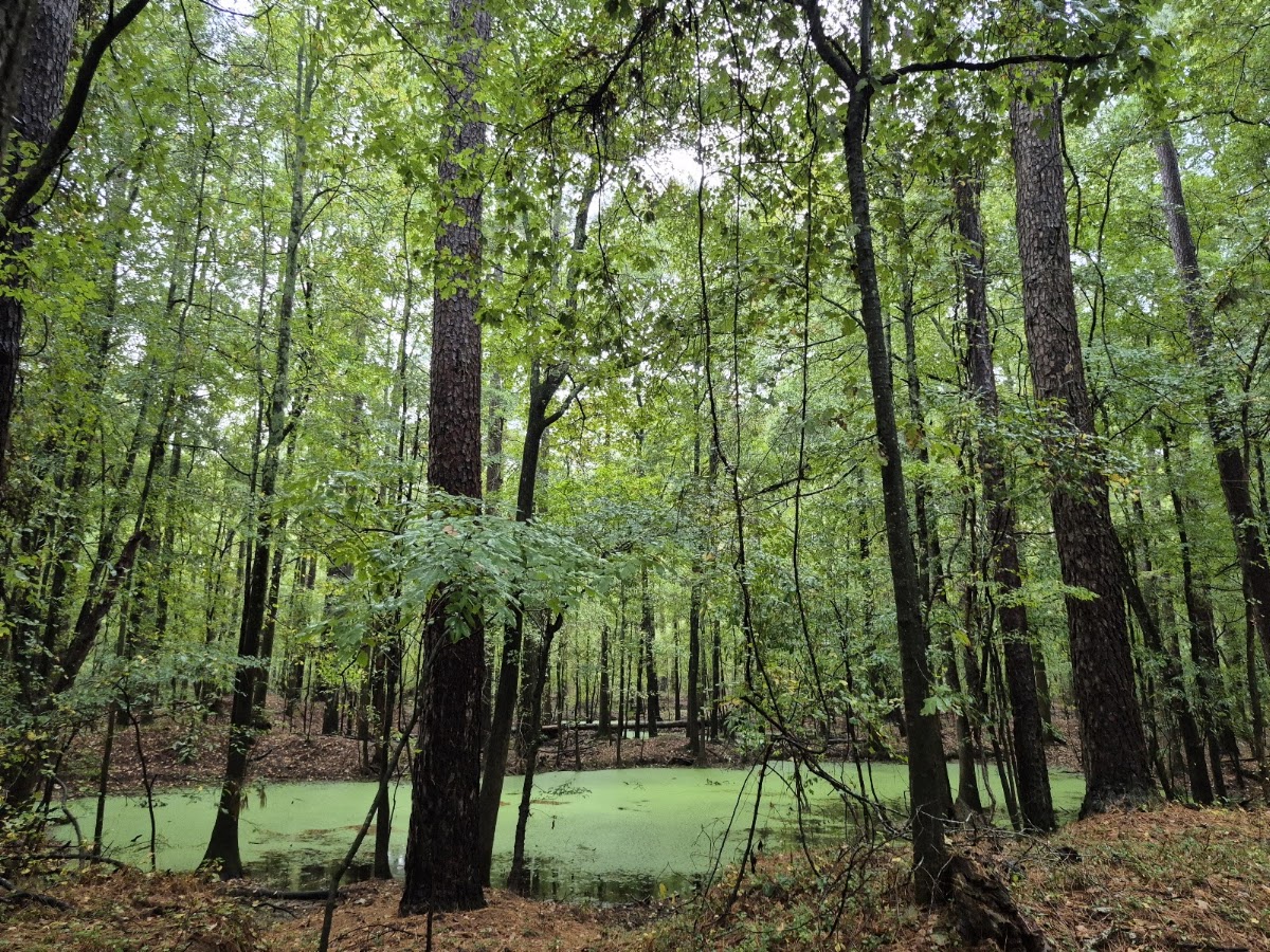 Congaree Creek Heritage Preserve