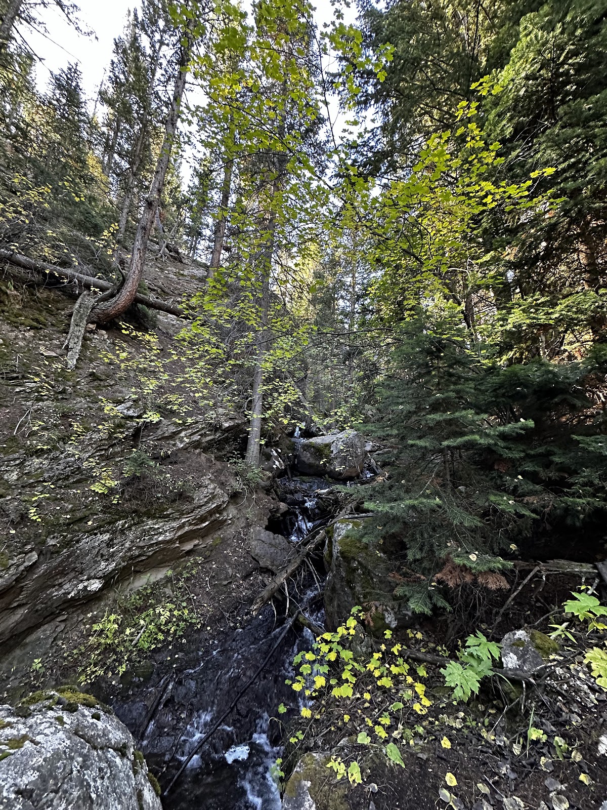 Wind River