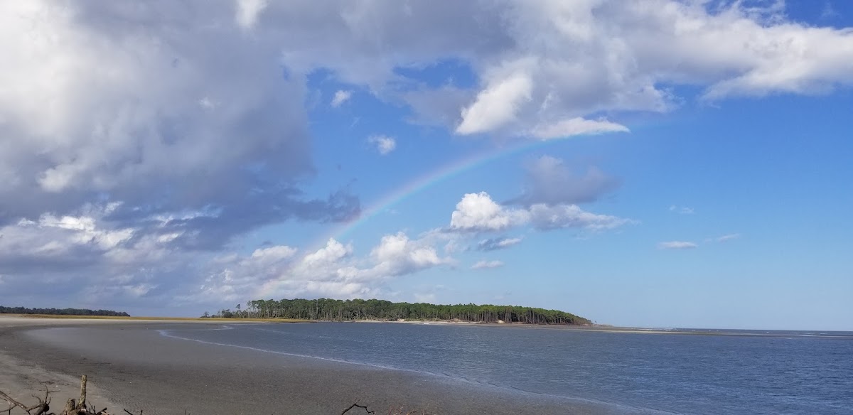 Blackbeard Island Public Beach