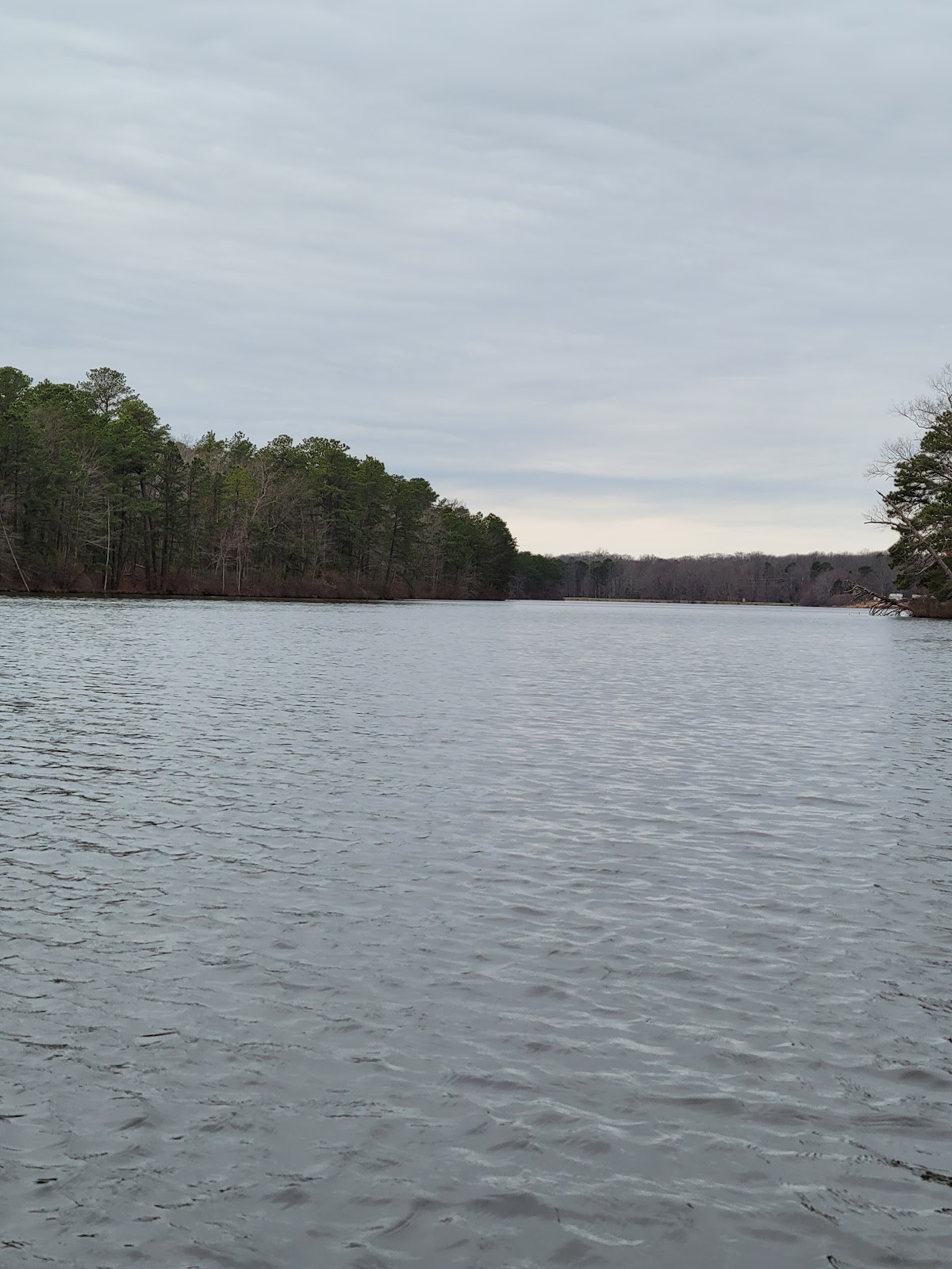 Prospertown Lake