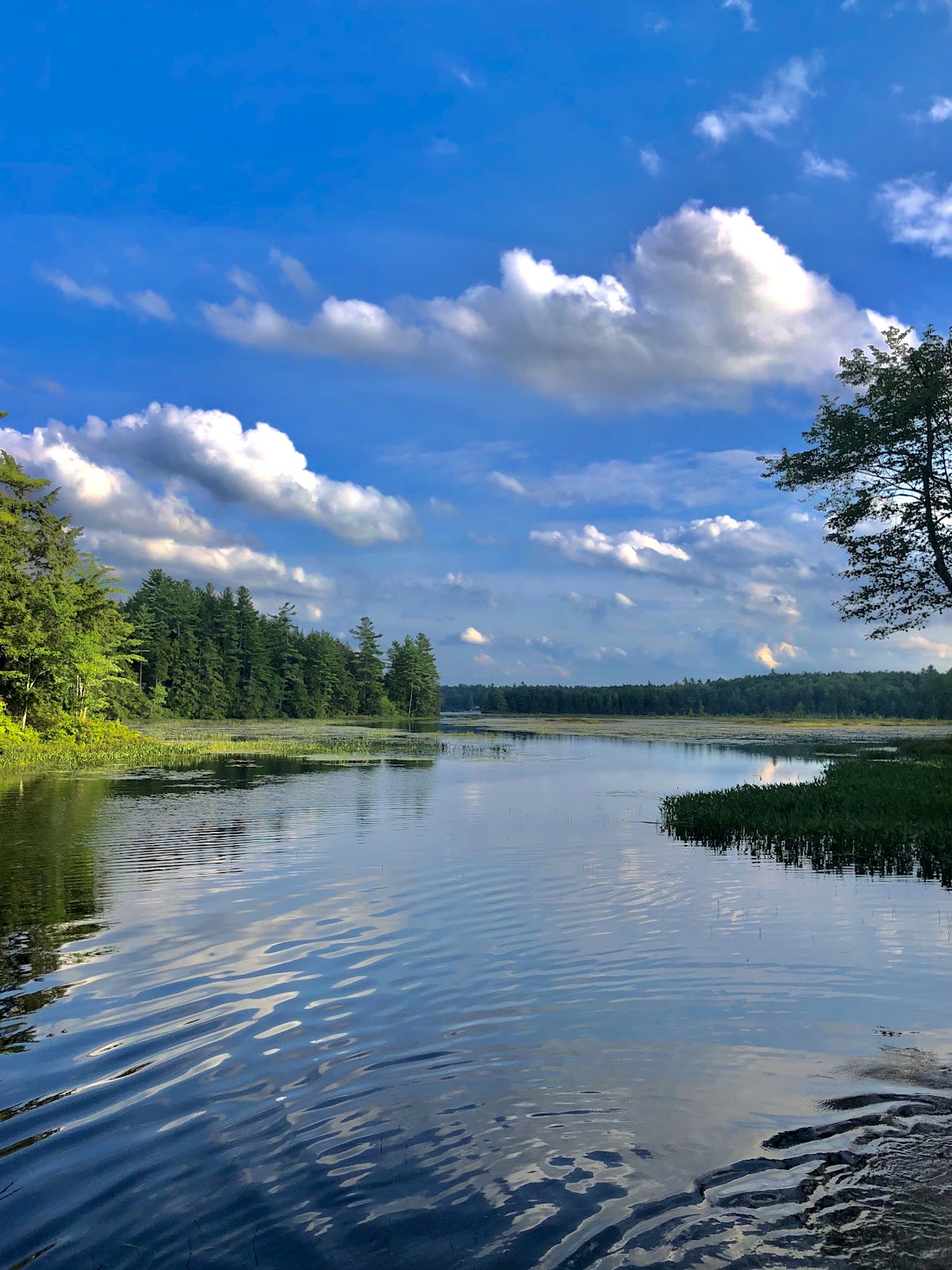 Hubbard Pond