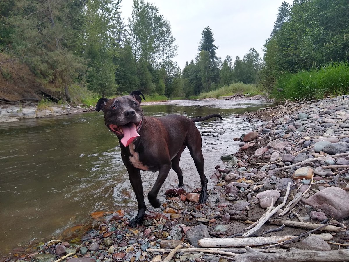 Jocko River