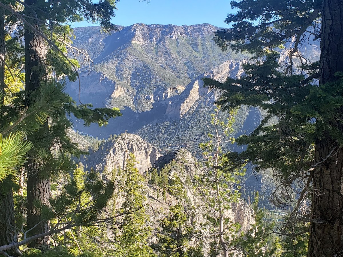 Charleston Peak Trail South Loop