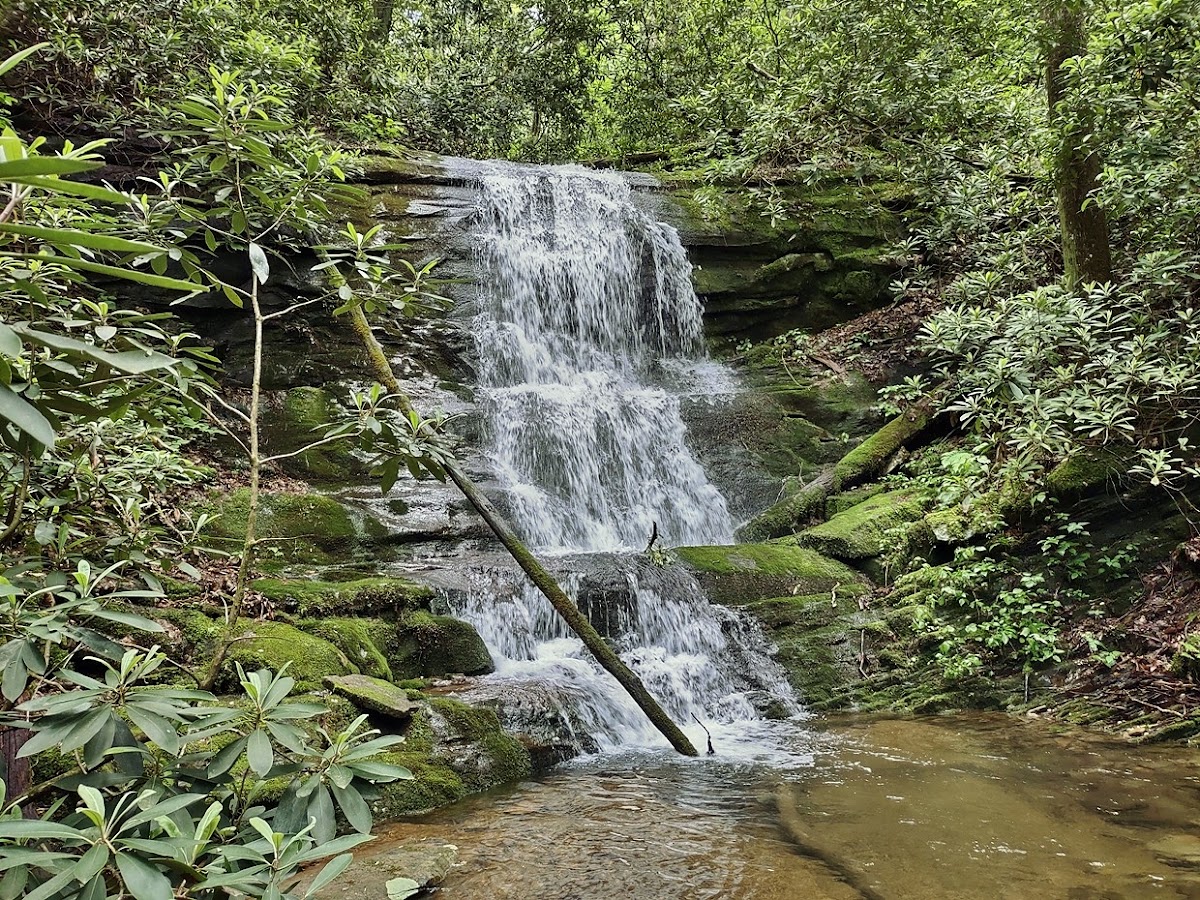 Davis Creek Trail