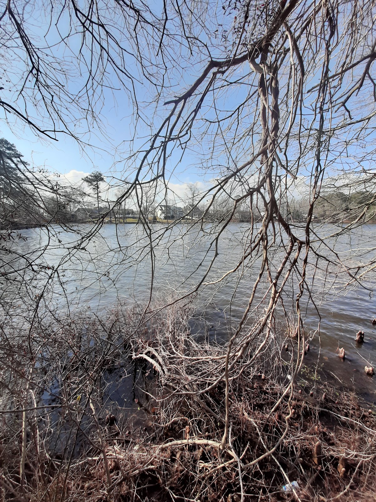 Betts Pond